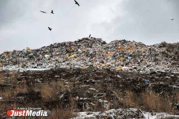 Сысерть получила второй шанс провести референдум против мусорного полигона - Фото 1