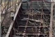 В Екатеринбурге 11-летний мальчик упал с моста в обрыв и сломал позвоночник