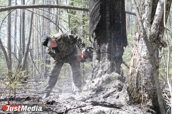 В Хабаровском крае бушуют лесные пожары, их площадь уже превысила 47 тысяч га - Фото 1
