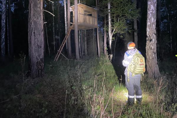 Пропавших в свердловском лесу подростков ищут около 500 человек и пять собак - Фото 1