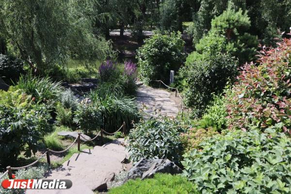 Алексей Орлов пообещал сохранить сад возле Косого дома - Фото 1
