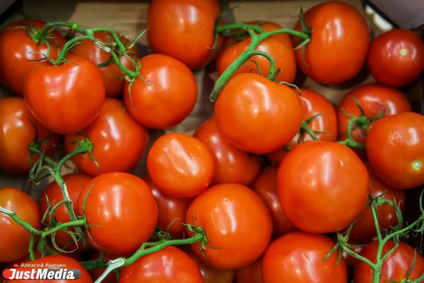 Свердловский Россельхознадзор выявил 18 тонн зараженных томатов - Фото 1