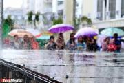 Камышлов стал самым дождливым местом в мире за выходные