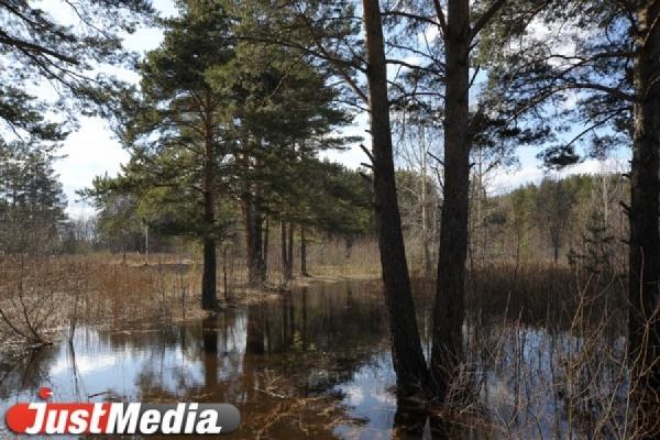 Уровень воды в свердловских водоемах не угрожает наводнением - Фото 1