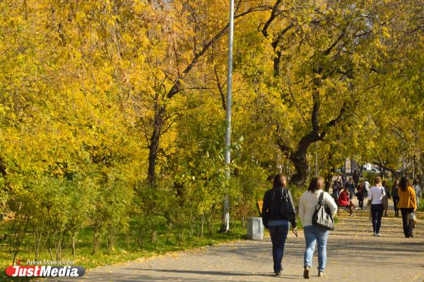 Климатическая осень в Екатеринбурге начнется уже на этой неделе - Фото 1