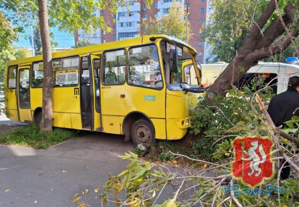 На 8 Марта пассажирский автобус врезался в дерево - Фото 1