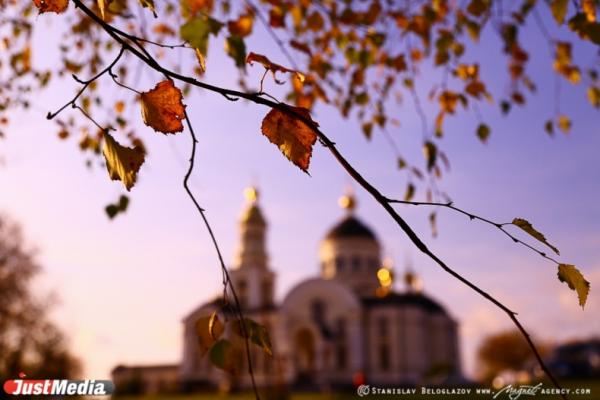 В Свердловской области в выходные ожидаются первые заморозки на почве  - Фото 1