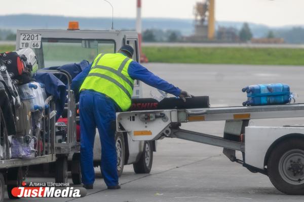 В аэропорту Варшавы взорвался чемодан пассажира, который направлялся в Вену - Фото 1