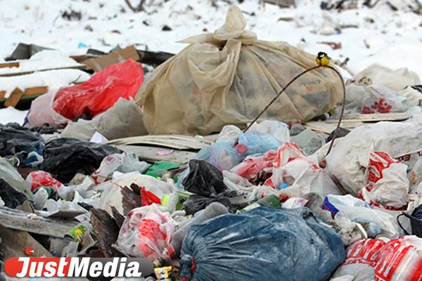 Житель Верхней Пышмы поймал организаторов незаконной свалки в лесу - Фото 1