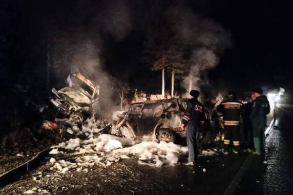 В Свердловской области в страшном ДТП, где сгорели две машины, погиб мужчина  - Фото 1