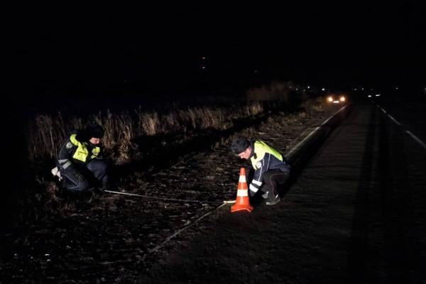 В Свердловской области неустановленный водитель насмерть сбил 54-летнего велосипедиста - Фото 1