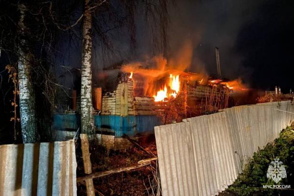 При пожаре в Брянской области погибла молодая мама и двое малышей - Фото 1