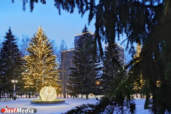 В ЦПКиО начали заливать каток и устанавливать елку - Фото 1