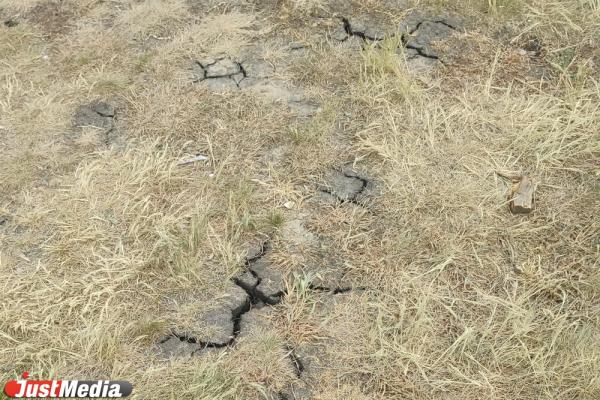 Землетрясение произошло на севере Свердловской области - Фото 1