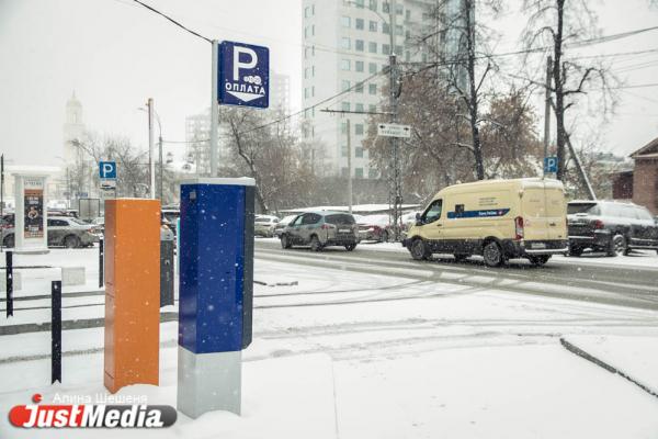 Власти Екатеринбурга запустят «подписку на парковку» - Фото 1