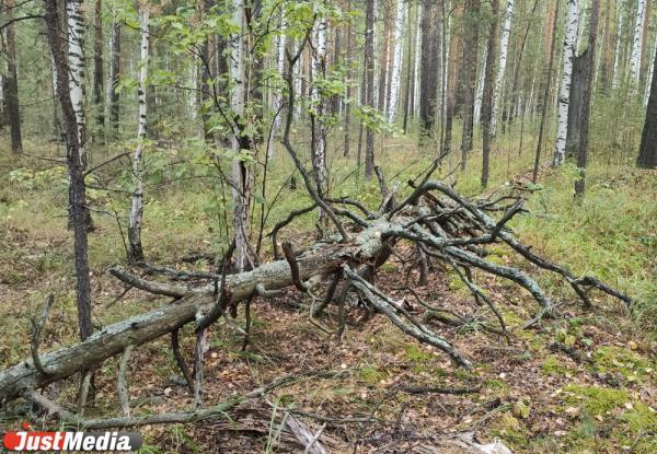 В Италии пытаются спасти спелеолога, застрявшую в пещере на глубине 600 метров - Фото 1