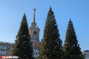 Каток на площади 1905 года станет бесплатным для дошкольников и пенсионеров