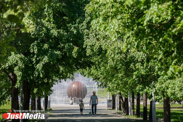 В Екатеринбурге начали выбирать зеленые территории, которые благоустроят в 2027 году