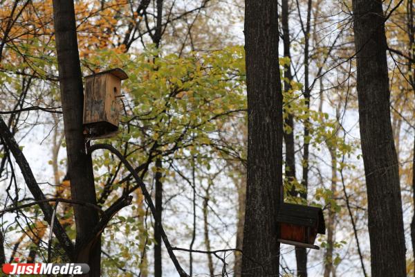 Пять лучших локаций в Екатеринбурге, где можно сделать красивые фото и признаться в любви - Фото 6