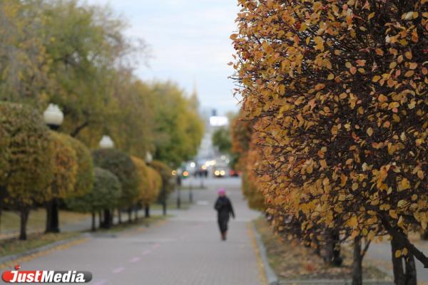 Пять лучших локаций в Екатеринбурге, где можно сделать красивые фото и признаться в любви - Фото 18