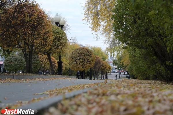 Пять лучших локаций в Екатеринбурге, где можно сделать красивые фото и признаться в любви - Фото 19