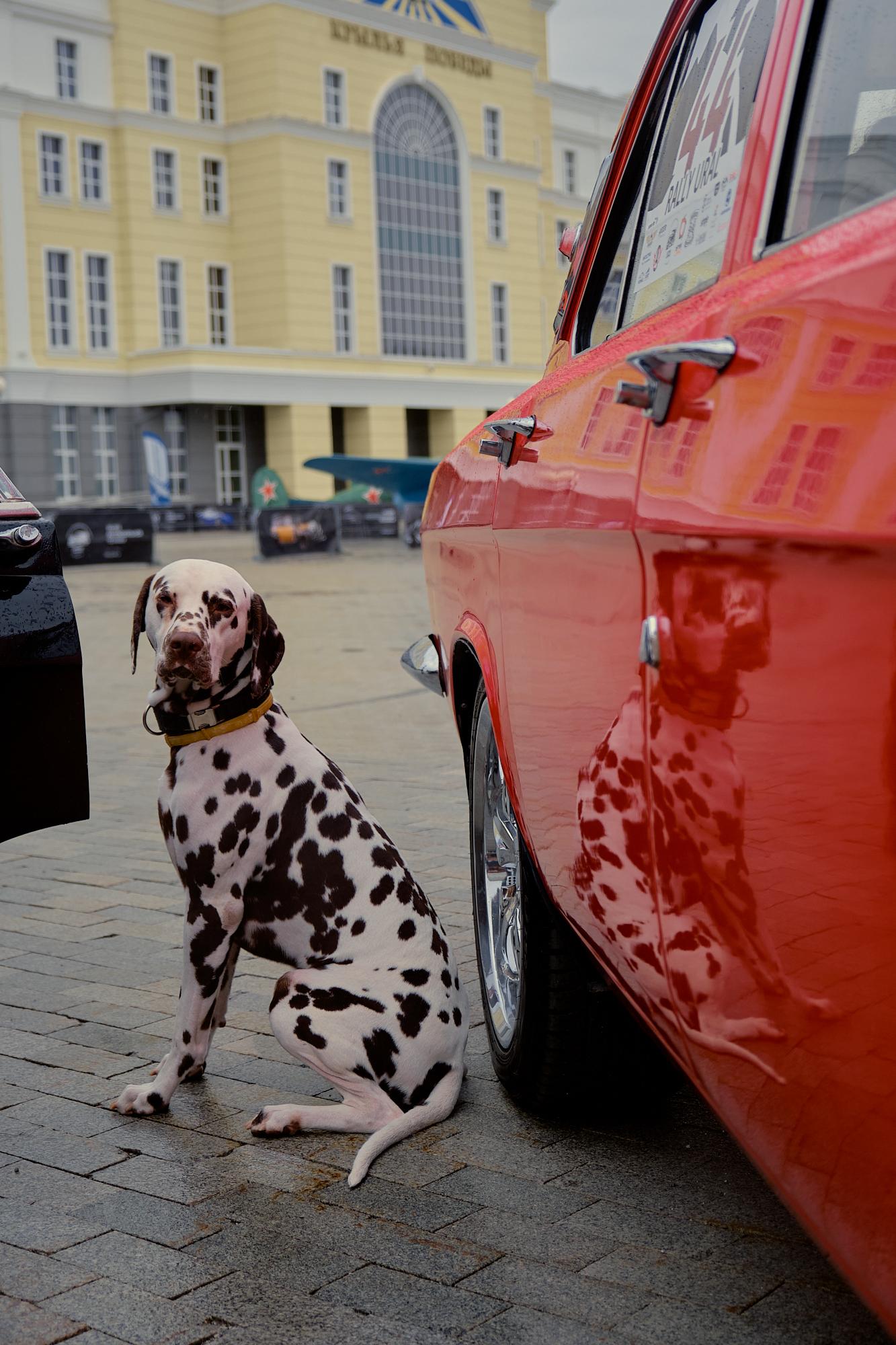 От Солидного Cadillac до легендарной «Копейки»: в Верхней Пышме и  Екатеринбурге состоится масштабная гонка на ретро-автомобилях | 15.06.2023  | Екатеринбург - БезФормата