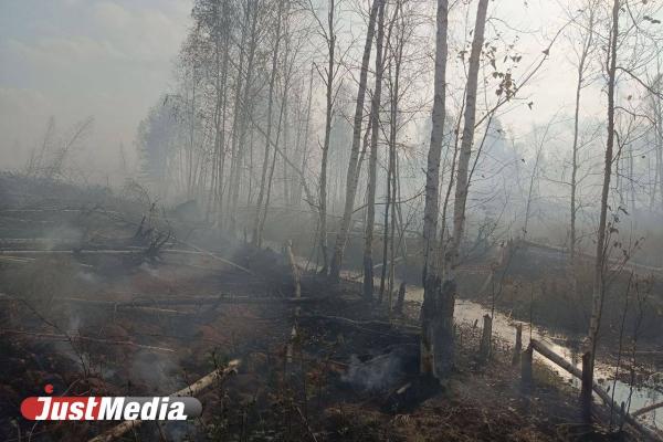 Жители Ольховки утверждают, что торфяной пожар угрожает поселку - Фото 2