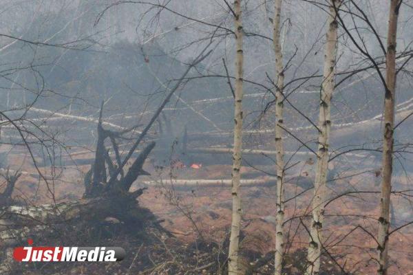 Жители Ольховки утверждают, что торфяной пожар угрожает поселку - Фото 3