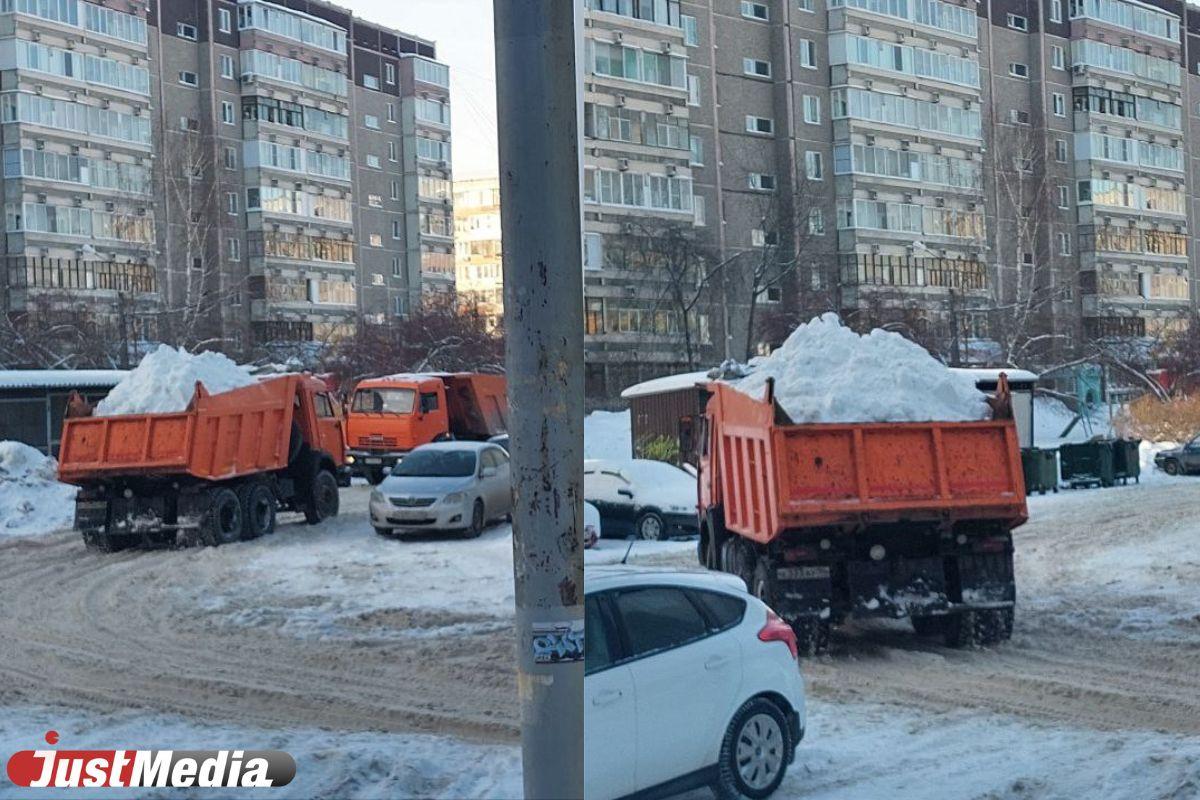 Жители Екатеринбурга массово жалуются на неубранные дворы - JustMedia.ru,  08.02.2024