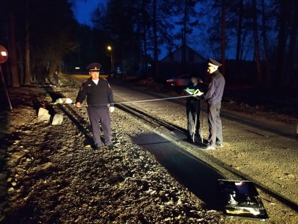 В Свердловской области пьяный водитель иномарки насмерть сбил 13-летнюю девочку и собаку - Фото 2