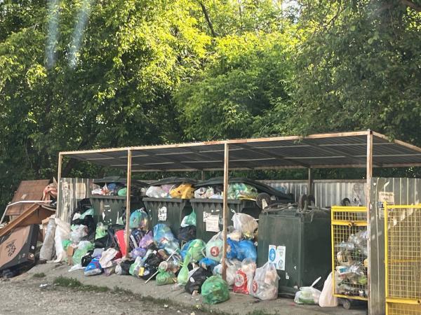 Жители западных городов Свердловской области жалуются на проблемы с вывозом мусора - Фото 2