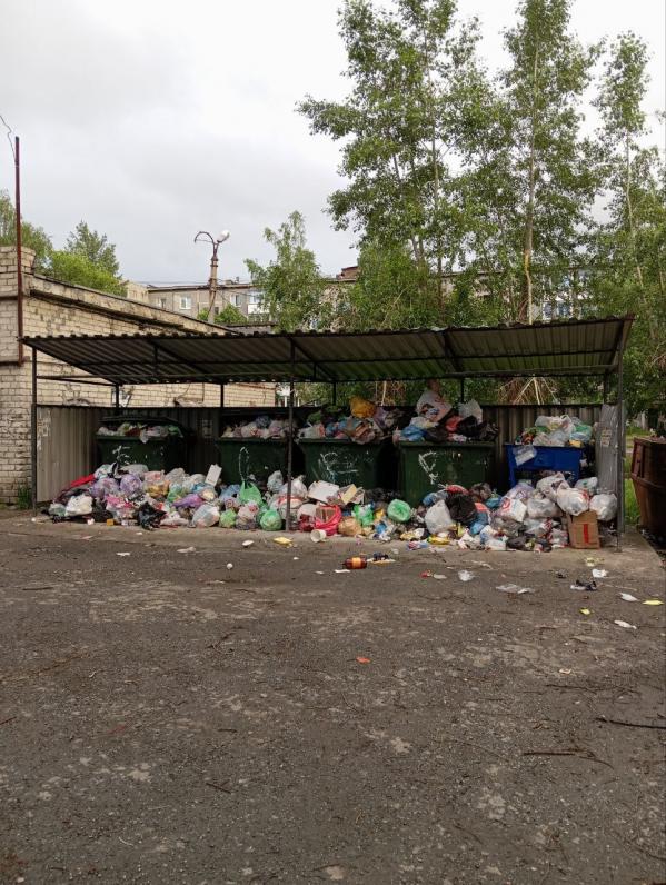 Жители западных городов Свердловской области жалуются на проблемы с вывозом мусора - Фото 4
