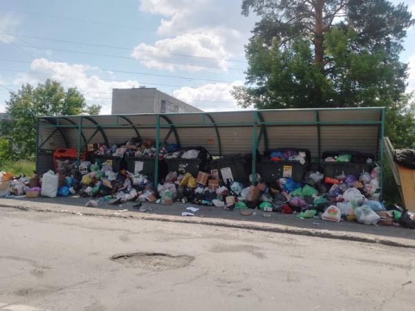 Жители западных городов Свердловской области жалуются на проблемы с вывозом мусора - Фото 5