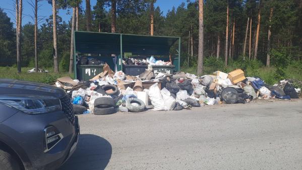 Жители западных городов Свердловской области жалуются на проблемы с вывозом мусора - Фото 7