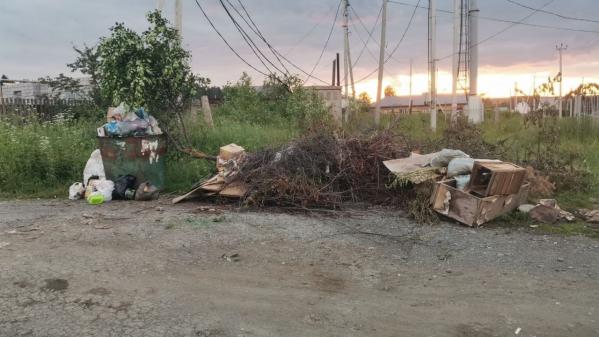 Жители западных городов Свердловской области жалуются на проблемы с вывозом мусора - Фото 8
