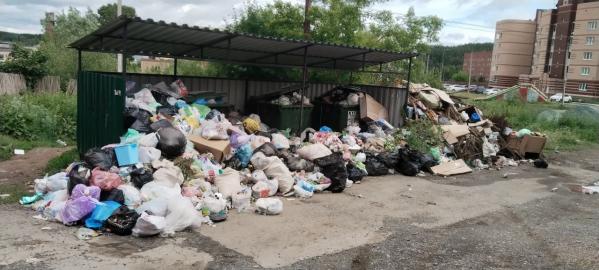 Жители западных городов Свердловской области жалуются на проблемы с вывозом мусора - Фото 9