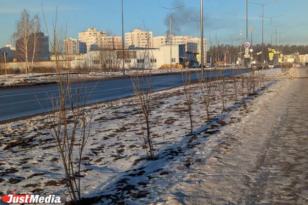 В Верхней Пышме открыли улицу Машиностроителей, соединяющую целый микрорайон с городом  - Фото 5